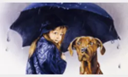 Weather Weather
