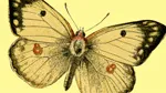 15 15