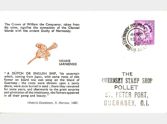 Guernsey 3d Lilac Guernsey 3d Lilac