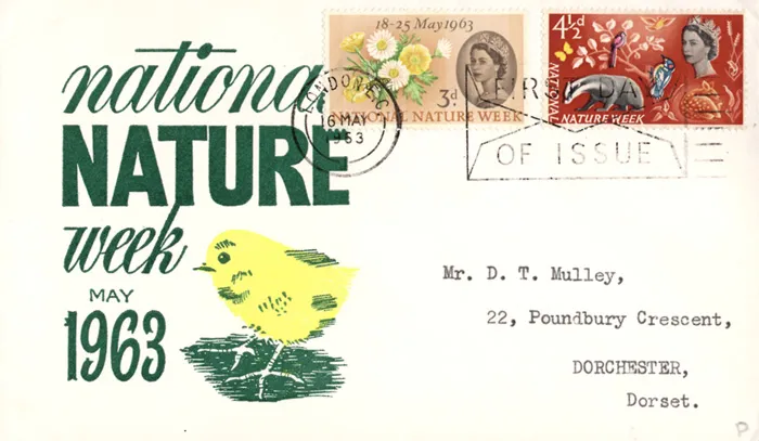 1963-NNW-Chick 1963-NNW-Chick