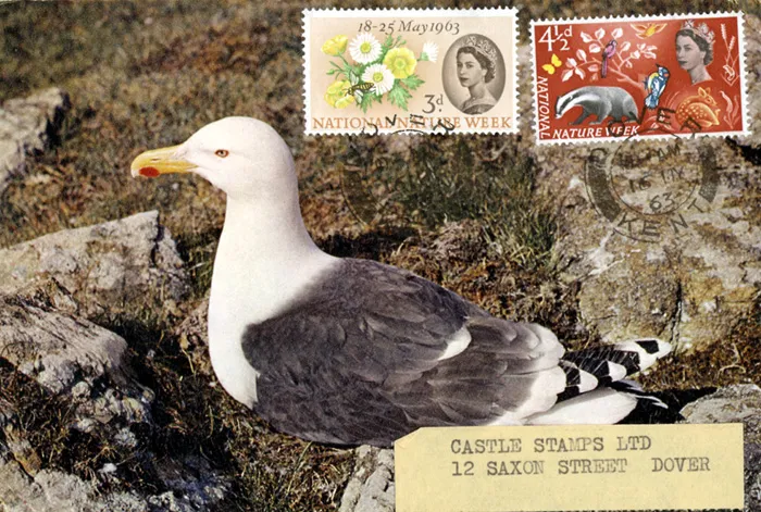 1963-NNW-card