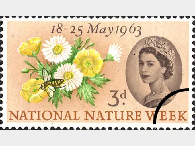 National Nature Week: 3d