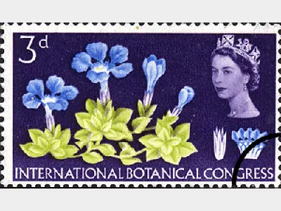 Botanical Congress: 3d