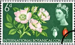 Botanical Congress: 6d