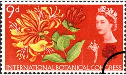 Botanical Congress (Phos): 9d