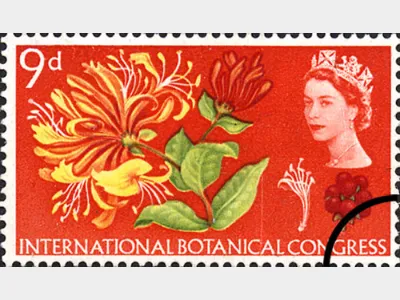 Botanical Congress: 9d