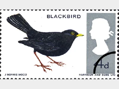 British Birds: 4d