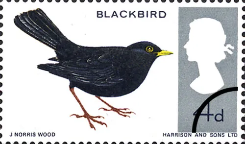 1966_birds_4 1966_birds_4