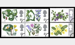 Wild Flowers (Phosphor)