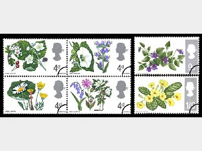 Wild Flowers (Phosphor)