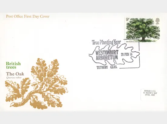 British Trees - The Oak