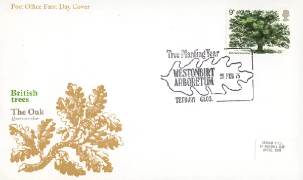 British Trees - The Oak