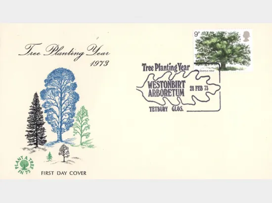 British Trees - The Oak