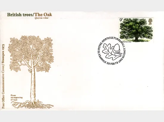 British Trees - The Oak