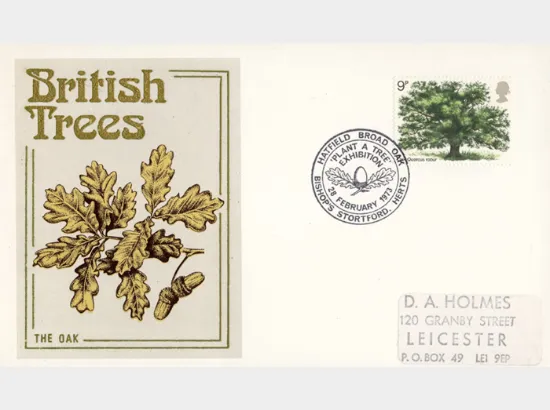 British Trees - The Oak