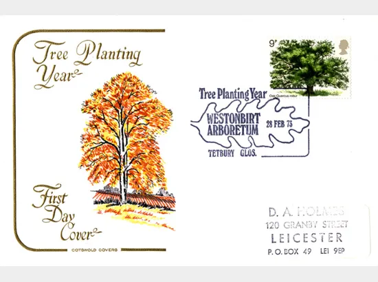 British Trees - The Oak