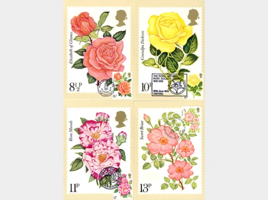 Roses 1976