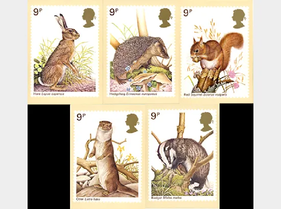 British Wildlife