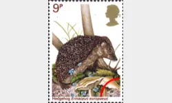 British Wildlife: 9p