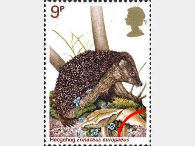 British Wildlife: 9p