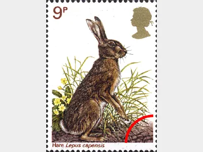 British Wildlife: 9p