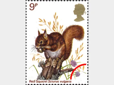 British Wildlife: 9p