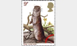 British Wildlife: 9p