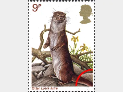 British Wildlife: 9p