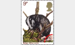 British Wildlife: 9p