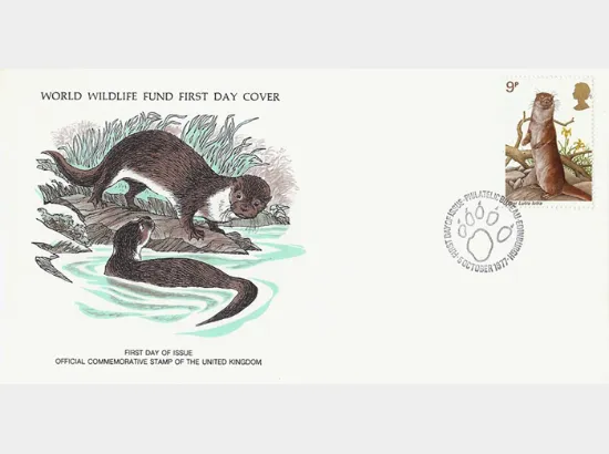 British Wildlife British Wildlife