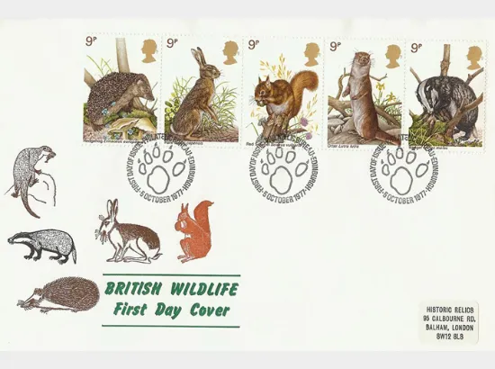 British Wildlife British Wildlife