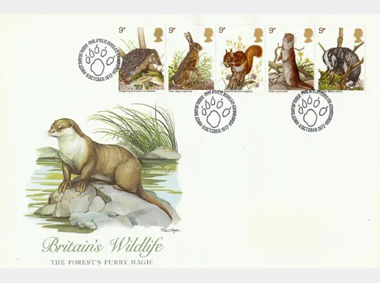 British Wildlife British Wildlife