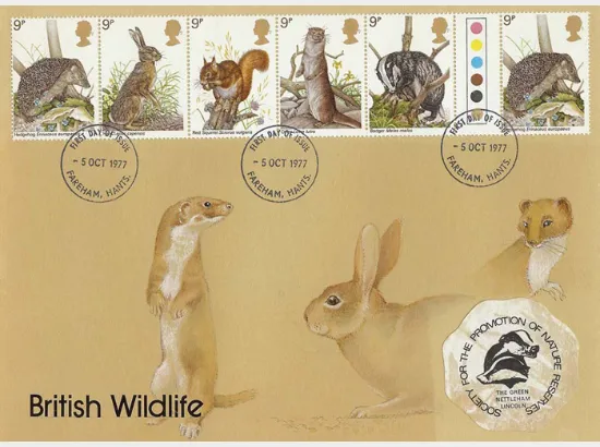 British Wildlife British Wildlife