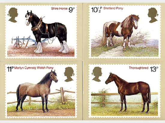 Shire Horse Society
