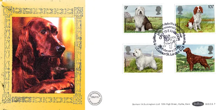 1979DogsBOCS7gold 1979DogsBOCS7gold