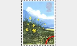 Spring Flowers: 10 1/2p