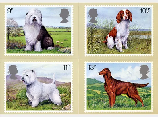 British Dogs