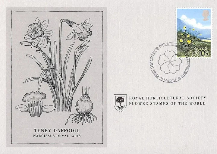 1979_flowers_12
