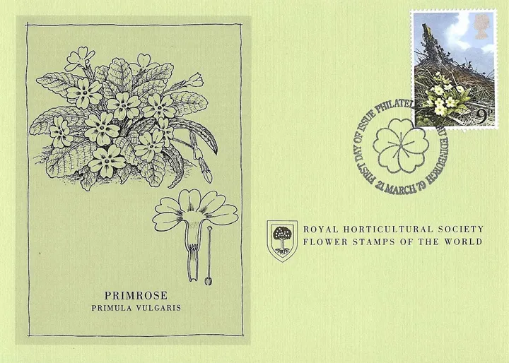 1979_flowers_13 1979_flowers_13