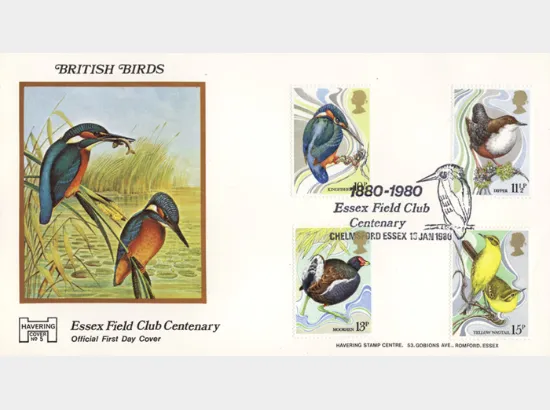 British Birds 1980