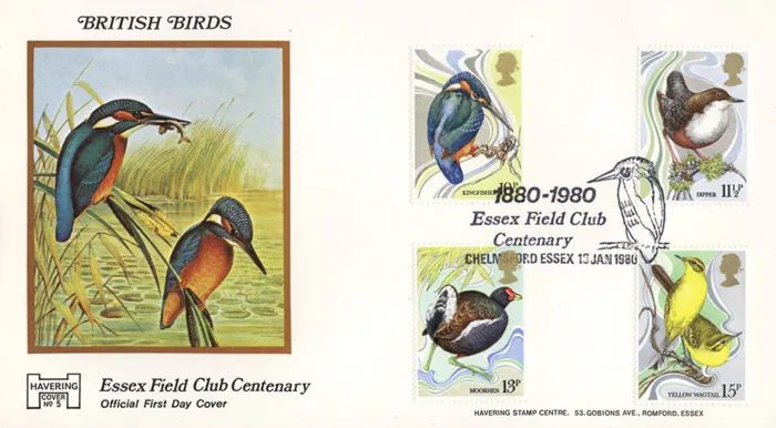 1980-Birds--EssxOff