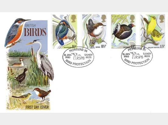 British Birds 1980