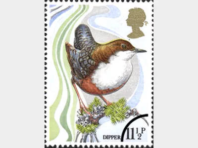 British Birds: 11 1/2p