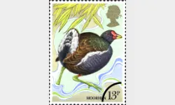 British Birds: 13p