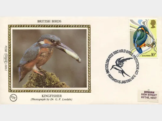 British Birds 1980
