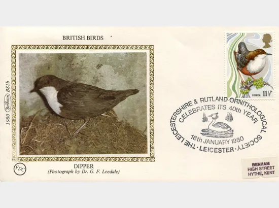 British Birds 1980