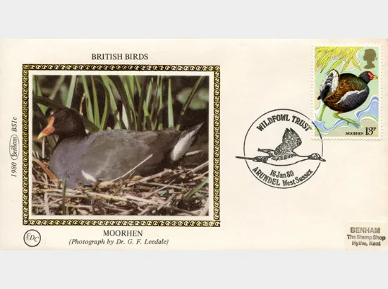 British Birds 1980