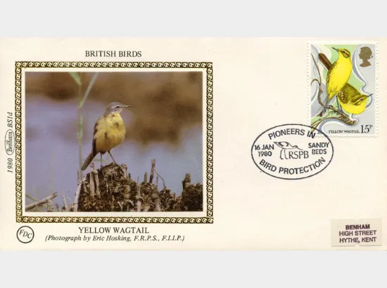 British Birds 1980