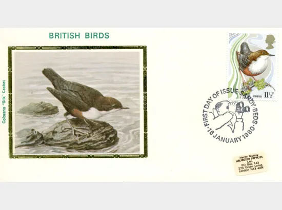 British Birds 1980