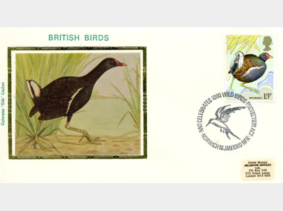 British Birds 1980